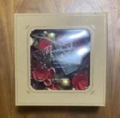 Item thumbnail for item 4d2871aa-cc11-4135-97e3-d4b454e06cb0