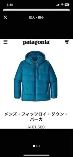 2025年最新】パタゴニア フィッツロイ ダウンパーカの人気