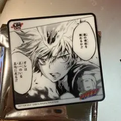 家庭教師ヒットマンREBORN！中国限定後半特典 アクリルコースター 沢田綱吉①