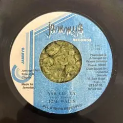 レゲエ7インチJAMMYS6枚セット
