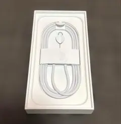 iPhone16 Apple純正 充電ケーブル タイプC to C