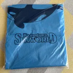 Item thumbnail for item ebd6483e-776a-4c94-9dc1-d0bc0fda6582