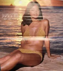 2025年最新】アグネス ラム 水着 ポスターの人気アイテム - メルカリ