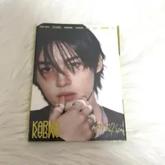 Straykids KARMA Accordion Ver. リノ