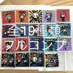 クレイジーラクーンマンチョコシール 19種類フルコンプ品