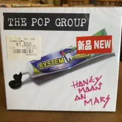THE POP GROUP HONEY MOON ON MARS 新品 CD