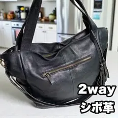 Item thumbnail for item 0a1d3af3-2c55-4c7e-a158-e8e098c085e1