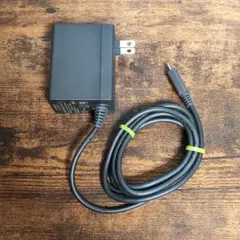 Switch　ACアダプター 充電器　純正品