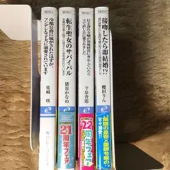 角川ビーンズ文庫　4冊