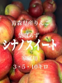 青森県産りんご「シナノスイート」家庭用⑮