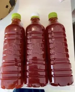 光合成細菌 PSB 600ml×3 完全手作り♥︎
