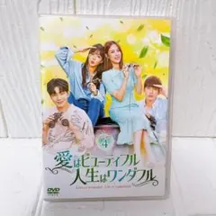 愛はビューティフル 人生はワンダフル DVD-BOX 4 DVDBOX