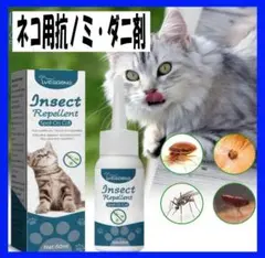 Item thumbnail for item 34a8d9f0-4d3c-49e1-bec2-3eade3434850