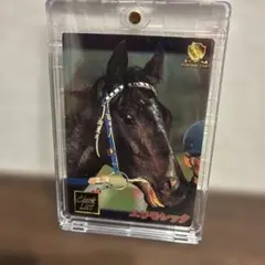 エリモシック ホースカード