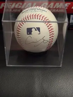 (ケース付き)大谷翔平 直筆サインボール MLB 公式試合球 Rawlings