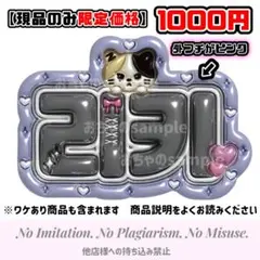 ぷっくりネームボード　リッキー　ゼベワン