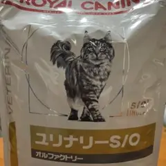 Item thumbnail for item caf453d4-6ee5-4641-aba9-a5a2c4bfd880