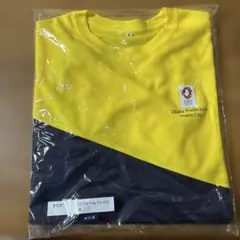 Item thumbnail for item c7eea045-73fb-4156-bac0-aa69d7a08079