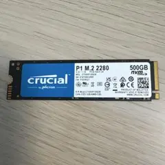 Crucial P1 M.2 2280 500GB SSD
