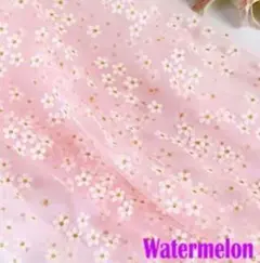 Item thumbnail for item 4939c1aa-28ac-466b-89bc-b6625fe4bd87