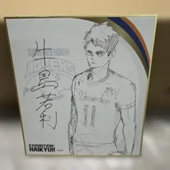 ハイキュー!! 村瀬歩(日向翔陽)＆石川界人(影山飛雄) 直筆サイン色紙 ハイキュー!! 村瀬歩(日向翔陽)＆石川界人(影山飛雄) 直筆サイン色紙