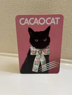 【匿名配送】大好き❣️訳あり❣️カカオキャット缶　空き缶CACAOCAT