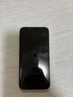 Apple iPhone 13 mini グリーン 本体　ジャンク品　訳あり出品