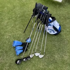 Item thumbnail for item d4f60279-9ab7-464c-8895-55c06c4b75fe