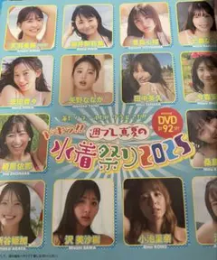 週刊プレイボーイPREMIUM 2025上半期グラビア傑作選 DVD