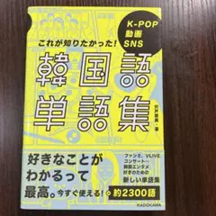 K-POP 動画 SNS これが知りたかった!韓国語単語集