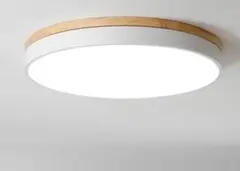 ツバキ LEDシーリングライト