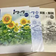 Iワーク　I ワークプラス　中2 理科