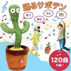 Item thumbnail for item 95e1f01e-f933-439b-a68d-1ed49c68e716