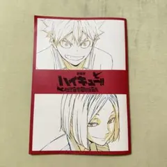 ハイキューゴミ捨て場の決戦パンフレット