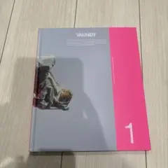 VAUNDY フォトブック 1