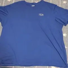 超ビッグサイズ　Lands' End HGAロゴ Tシャツ 4XL 青