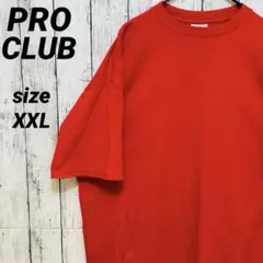 PRO CLUB プロクラブ HEAVY WEIGHT tシャツ XXL