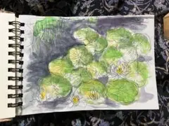 ハスの池、イラスト、デッサン紙、マルマン、ハガキ大