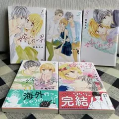 嫁にしたい男　5巻完結セット