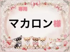 専用