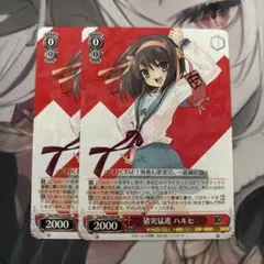 猪突猛進 ハルヒ rr 2枚