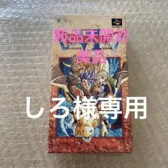 【新品未使用未開封】スーパーファミコン ドラゴンクエストⅥ 幻の大地