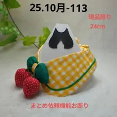 Item thumbnail for item bc1e3ccd-7f67-452f-a820-0fb19399a844