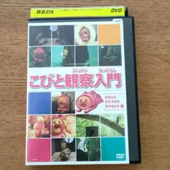 こびと観察入門 モモシリ クサリダモモキド編 DVD レンタル