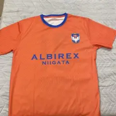 アルビレックス新潟サポーターシャツ