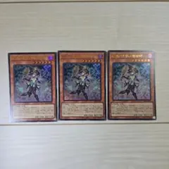 遊戯王 幻惑の見習い魔術師 3枚セット