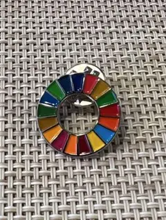 SDGs ピンバッジ日本 UN
