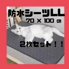 Item thumbnail for item 3a587734-eed1-493c-881f-6ff74b3601c9