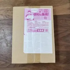 ポケセン産　メガブレイブ　未開封