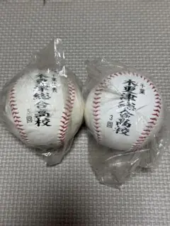 木更津総合　甲子園出場　記念ボール
